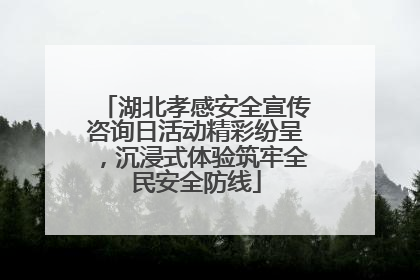 湖北孝感安全宣传咨询日活动精彩纷呈，沉浸式体验筑牢全民安全防线