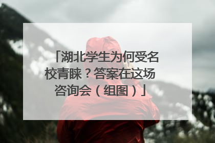 湖北学生为何受名校青睐？答案在这场咨询会（组图）
