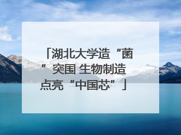 湖北大学造“菌”突围 生物制造点亮“中国芯”