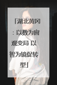 湖北黄冈：以数为窗观变局 以智为镜促转型