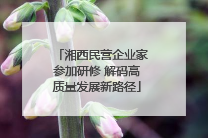 湘西民营企业家参加研修 解码高质量发展新路径