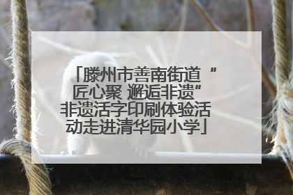 滕州市善南街道“匠心聚 邂逅非遗”非遗活字印刷体验活动走进清华园小学