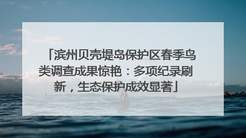 滨州贝壳堤岛保护区春季鸟类调查成果惊艳：多项纪录刷新，生态保护成效显著
