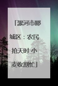 漯河市郾城区：农民抢天时 小麦收割忙