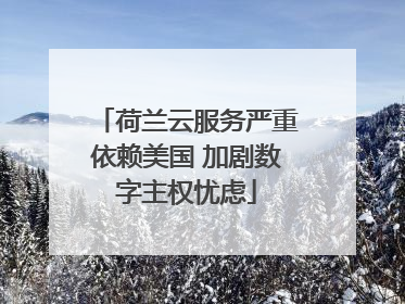 荷兰云服务严重依赖美国 加剧数字主权忧虑