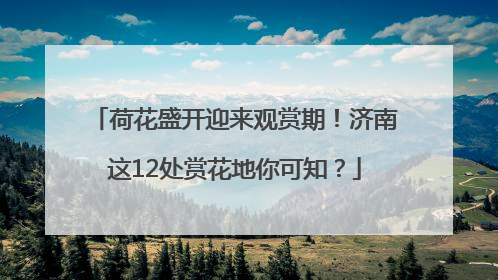 荷花盛开迎来观赏期！济南这12处赏花地你可知？