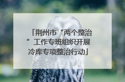 荆州市“两个整治”工作专班组织开展冷库专项整治行动