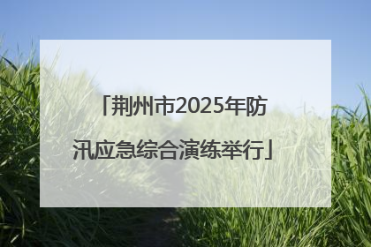 荆州市2025年防汛应急综合演练举行