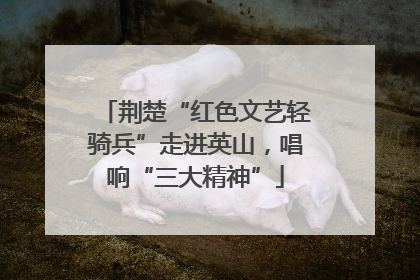 荆楚“红色文艺轻骑兵”走进英山，唱响“三大精神”