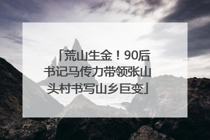 荒山生金！90后书记马传力带领张山头村书写山乡巨变
