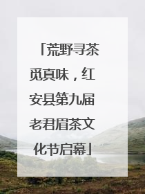 荒野寻茶觅真味，红安县第九届老君眉茶文化节启幕