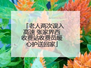 老人两次误入高速 张家界西收费站收费员暖心护送回家