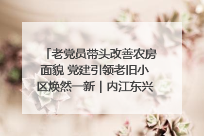 老党员带头改善农房面貌 党建引领老旧小区焕然一新｜内江东兴“红”在哪？④