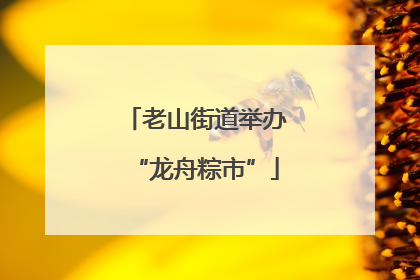 老山街道举办“龙舟粽市”