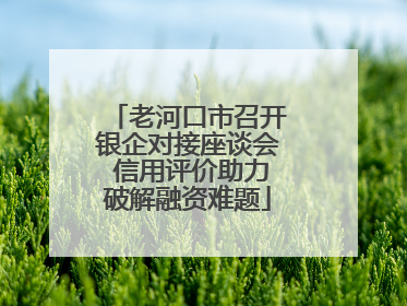 老河口市召开银企对接座谈会 信用评价助力破解融资难题