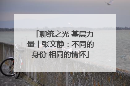 聊统之光 基层力量丨张文静：不同的身份 相同的情怀