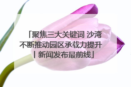 聚焦三大关键词 沙湾不断推动园区承载力提升丨新闻发布最前线