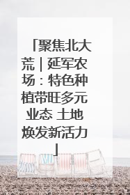 聚焦北大荒｜延军农场：特色种植带旺多元业态 土地焕发新活力