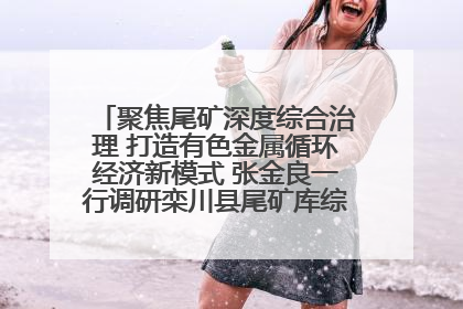 聚焦尾矿深度综合治理 打造有色金属循环经济新模式 张金良一行调研栾川县尾矿库综合治理工作