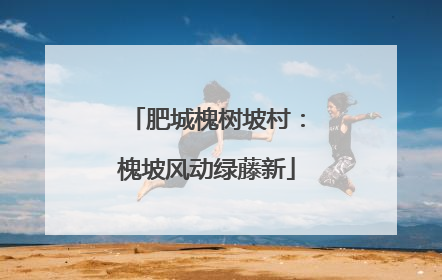 肥城槐树坡村：槐坡风动绿藤新