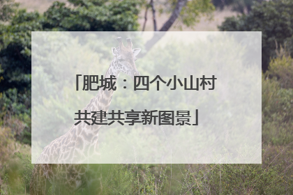 肥城：四个小山村共建共享新图景