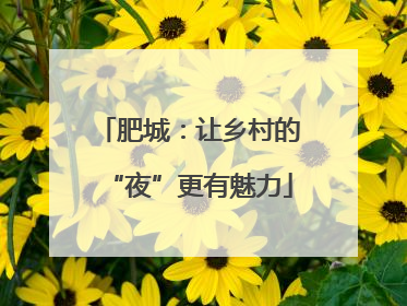 肥城：让乡村的“夜”更有魅力