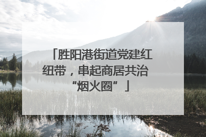胜阳港街道党建红纽带，串起商居共治 “烟火圈”