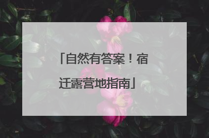 自然有答案！宿迁露营地指南
