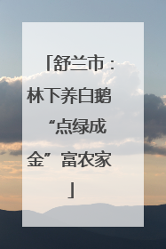 舒兰市：林下养白鹅 “点绿成金”富农家