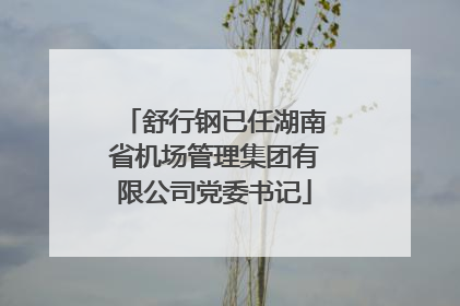 舒行钢已任湖南省机场管理集团有限公司党委书记