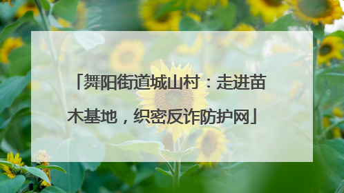 舞阳街道城山村：走进苗木基地，织密反诈防护网