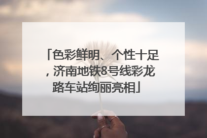 色彩鲜明、个性十足，济南地铁8号线彩龙路车站绚丽亮相