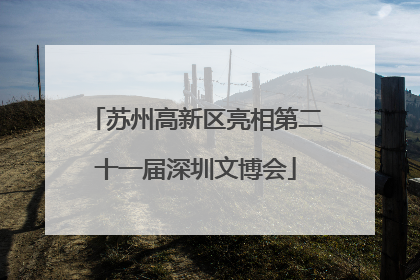 苏州高新区亮相第二十一届深圳文博会