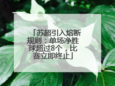 苏超引入熔断规则：单场净胜球超过8个，比赛立即终止