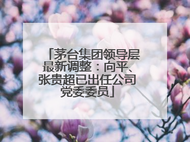 茅台集团领导层最新调整：向平、张贵超已出任公司党委委员