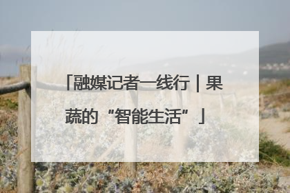 融媒记者一线行｜果蔬的“智能生活”