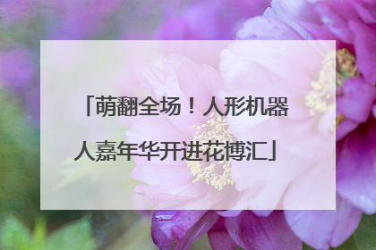 萌翻全场！人形机器人嘉年华开进花博汇