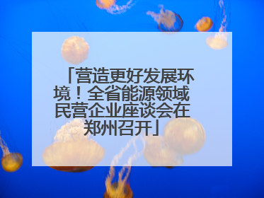 营造更好发展环境！全省能源领域民营企业座谈会在郑州召开