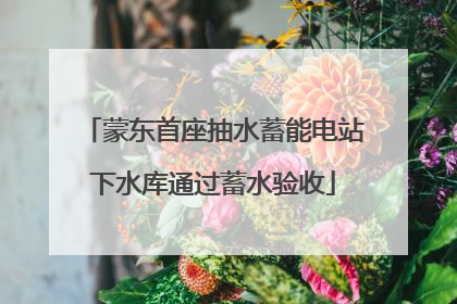 蒙东首座抽水蓄能电站下水库通过蓄水验收