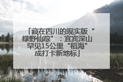 藏在四川的现实版“绿野仙踪”：宜宾深山罕见15公里“稻海”成打卡新地标