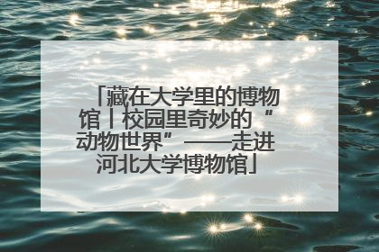 藏在大学里的博物馆丨校园里奇妙的“动物世界”——走进河北大学博物馆