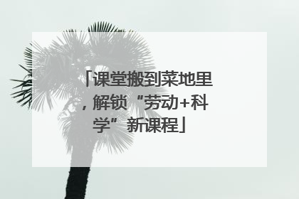 课堂搬到菜地里，解锁“劳动+科学”新课程