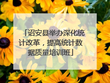 诏安县举办深化统计改革，提高统计数据质量培训班