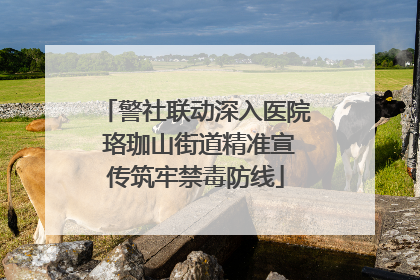 警社联动深入医院 珞珈山街道精准宣传筑牢禁毒防线