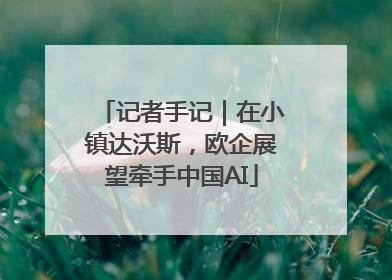 记者手记｜在小镇达沃斯，欧企展望牵手中国AI