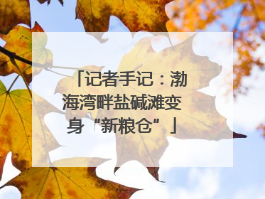 记者手记：渤海湾畔盐碱滩变身“新粮仓”