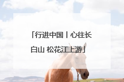 行进中国丨心往长白山 松花江上游