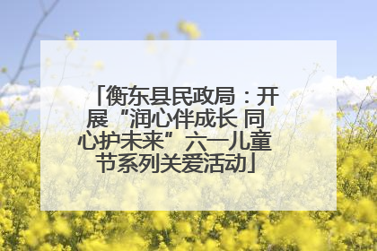 衡东县民政局：开展“润心伴成长 同心护未来”六一儿童节系列关爱活动
