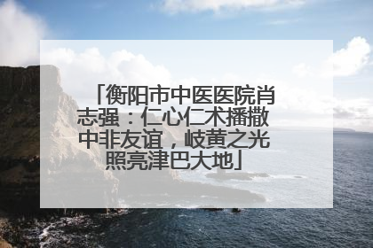 衡阳市中医医院肖志强：仁心仁术播撒中非友谊，岐黄之光照亮津巴大地