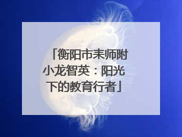 衡阳市耒师附小龙智英：阳光下的教育行者